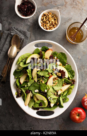 Herbst Salat mit Feder mix, Apple, Muttern und Cranberry Stockfoto