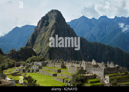 Machu Picchu Inka Ruinen aus dem 15. Jahrhundert (Weltkulturerbe), das Heilige Tal, Peru, Südamerika Stockfoto