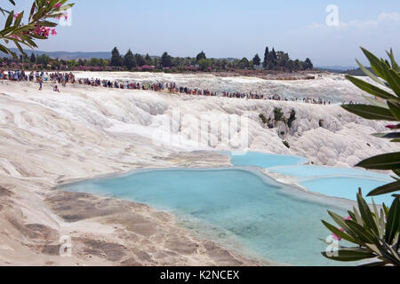 Bild des Pamukkale Baumwolle terrasse Pools in der Türkei. Stockfoto