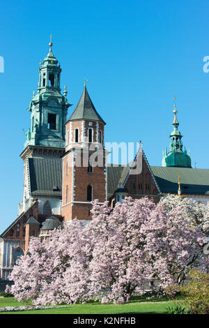 Die Kathedrale und Garten in dem mittelalterlichen Schloss Wawel. Stockfoto