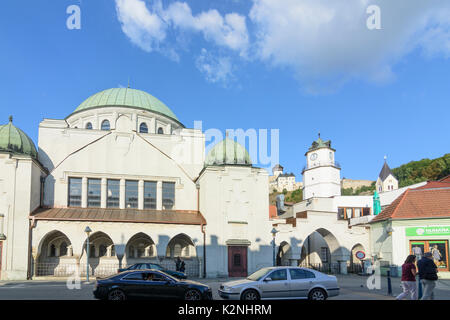 Synagoge, Trencín (Trentschin), Slowakei Stockfoto