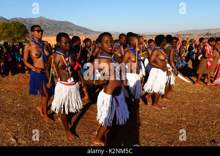 Swasiland Umhlanga Reed Dance Stockfoto