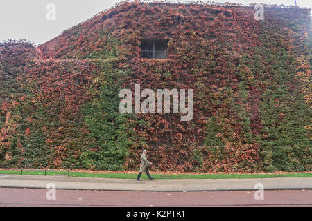 London, Großbritannien. 23 Okt, 2017. Ein Mann hinter wechselnden Farben der Blätter im Herbst auf Horse Guards Parade in London Credit: Amer ghazzal/alamy leben Nachrichten Stockfoto