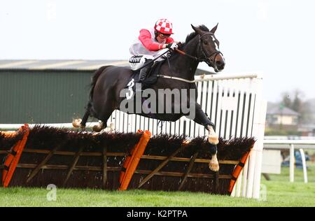 Plumpton, UK. 23 Okt, 2017. Tom Cannon reiten Highway One O Eine klare der letzten Geoffrey Budd Partnerschaft Maiden Hürde bei Plumpton racecourse zu gewinnen. Credit: James Boardman/Alamy leben Nachrichten Stockfoto