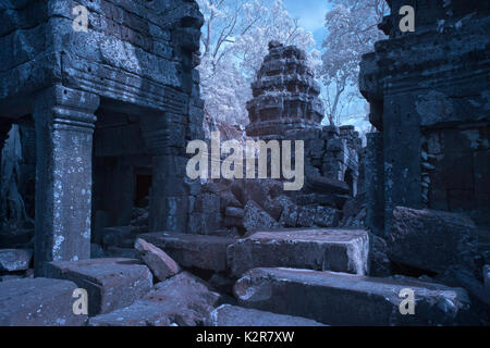 Ta Prohm schloss erstaunliche Banyan Tree Wurzeln siem reap Kambodscha Stockfoto