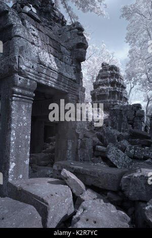 Ta Prohm schloss erstaunliche Banyan Tree Wurzeln siem reap Kambodscha Stockfoto