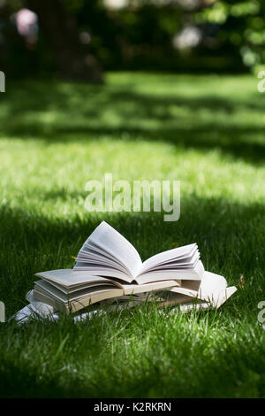 Vertikale Sicht auf viele offene Bücher übereinander stehend auf grünen Gras im Park im Schatten der Bäume Stockfoto