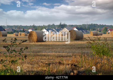 Trockenes Heu Ballen nach dem Mähen auf Feld mit Dorf im Hintergrund Stockfoto
