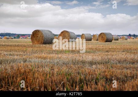Trockenes Heu Ballen nach dem Mähen auf Feld mit Dorf im Hintergrund Stockfoto