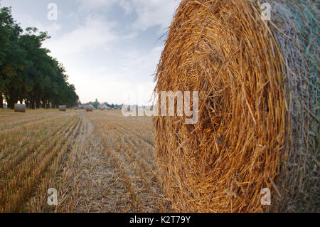 Trockenes Heu Ballen nach dem Mähen auf Feld mit Dorf im Hintergrund Stockfoto