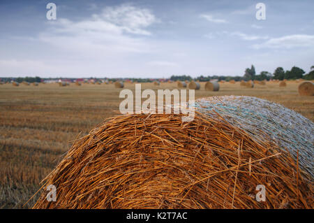 Trockenes Heu Ballen nach dem Mähen auf Feld mit Dorf im Hintergrund Stockfoto