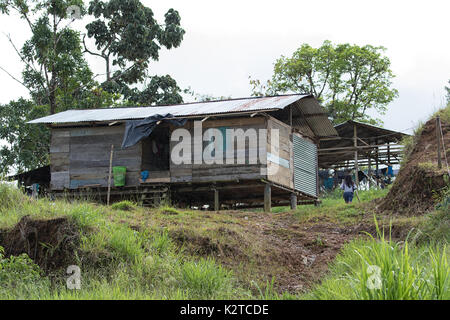 Juni 5, 2017 Lago Agrio, Ecuador: typische Gehäuse der indigenen Bevölkerung im Amazonasgebiet des Landes Stockfoto