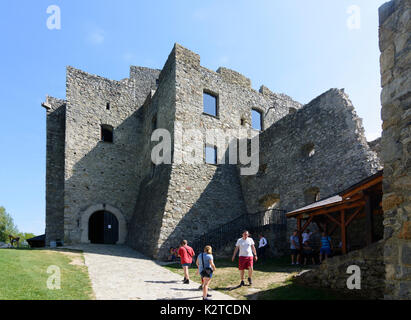 Strecno burg Strecno, Slowakei Stockfoto