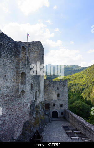 Strecno burg Strecno, Slowakei Stockfoto