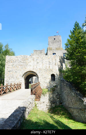 Strecno burg Strecno, Slowakei Stockfoto