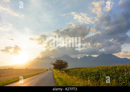 Hohe Tatra aus Süd-ost, vor lomnitzer stit (Lomnica Peak, Lomnitzer Spitze), Vysoke Tatry (Hohe Tatra, Hohe Tatra, Slowakei Stockfoto