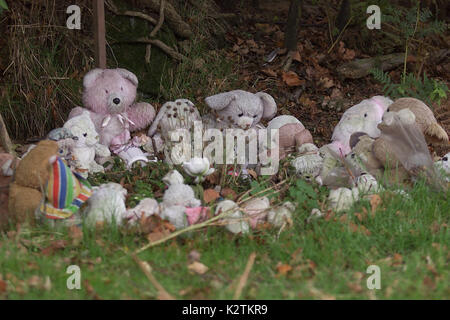 SARAH PAYNE MORDVERSUCH HINTERGRUND DER SCHREIN DES TEDDYBÄREN NOCH AN DIE SZENE, WO SARAHS KÖRPER WURDE GEFUNDEN Sarah Evelyn Isobel Payne (13. Oktober 1991 und 1. Juli 2000) Die 8-jährige Schülerin, die Opfer eines hochrangigen Entführung und Mord in England wurde im Juli 2000. Die anschließende Untersuchung wurde ein prominenter Fall im Vereinigten Königreich. Ihr Mörder, Roy Wittling, wurde im Dezember 2001 zu lebenslanger Haft verurteilt Stockfoto