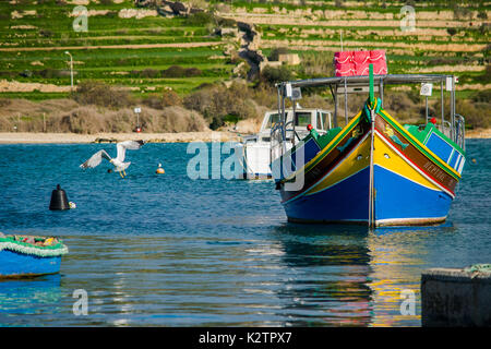 Eine Möwe fliegen weg von einem maltesischen Fischerboot (Luzzu) im Fischerdorf Marsaxlokk, Malta, Mittelmeer. Stockfoto