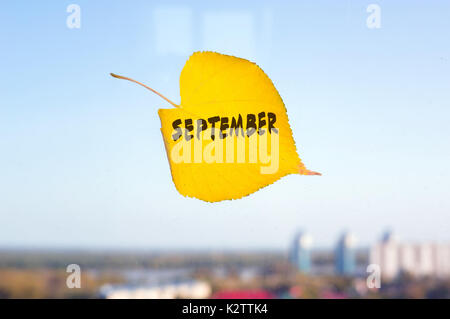 Gelb gefallen Blatt mit der Bezeichnung September bis das Fenster auf die Skyline. Gefallenen Herbst Blatt in der Form des Herzens Stockfoto