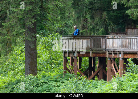 Mann aufpassen auf die Bären Aussichtsplattform am Fish Creek Wildlife Beobachtung, Tongass National Forest, Hyder, Alaska, USA Stockfoto