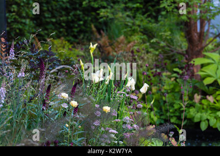 BBC Radio, das Jeremy Vine Garten, Designer Matt Keighley Stockfoto