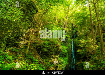 Kleiner Wald Wasserfall in Delaware Water Gap, PA Stockfoto