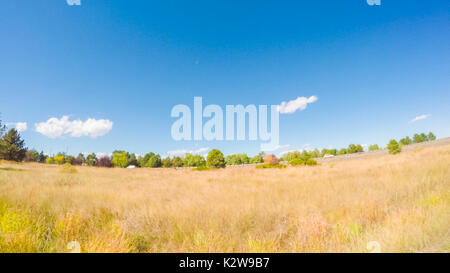 Fahrt durch Cherry Creek State Park im frühen Herbst. Stockfoto