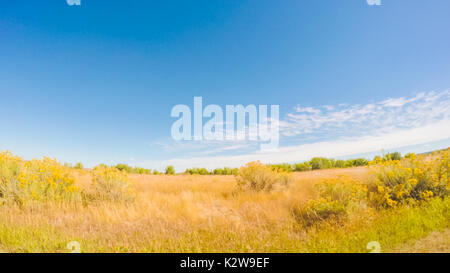 Fahrt durch Cherry Creek State Park im frühen Herbst. Stockfoto