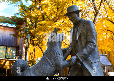 TOKYO, Japan - 28. NOVEMBER 2015: Hachiko mit Dr. Hidesaburo Ueno Statue an der Universität Tokyo, Todai Campus, der Hund ist bemerkenswert Treue zu seinem Besitzer Stockfoto