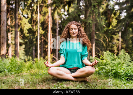 Schöne Mädchen übt Yoga am Morgen Wald. Stockfoto