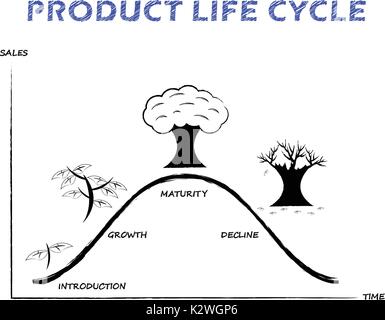 Schwarz & Weiß Produktlebenszyklus Diagramm zeichnete mit Bleistift auf weißem Hintergrund als Baum vier Stufen, Einführung, Wachstum, Reife, ablehnen. Stock Vektor