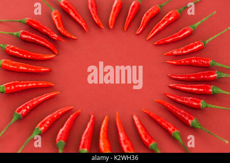 Red Hot Chili Peppers, beliebte Gewürze Konzept - dekorative Kreis aus dem schönen Red Hot Chili Pepper Pods auf rotem Hintergrund, in der Mitte ist fr Stockfoto