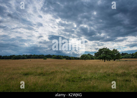 Blick über Richmond, Richmond upon Thames, London, Vereinigtes Königreich Stockfoto