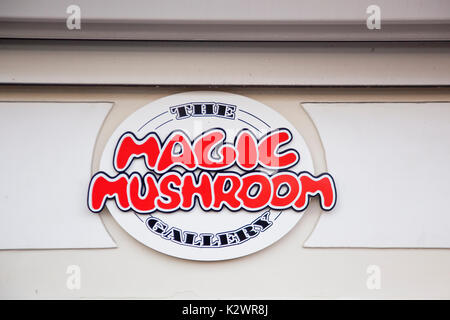 Holland, Norden, Amsterdam, Magic Mushroom Galerie anmelden. Stockfoto