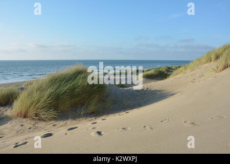 Dünen Gras im Wind an der Nordsee strand mit vielen Sand und blauer Himmel Stockfoto