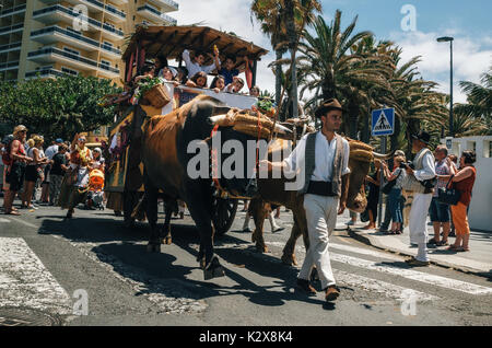 Puerto de la Cruz, Teneriffa, Kanarische Inseln, Spanien - 30. Mai 2017: Eingerichtet Stier gezogenen Wagen und Canarias Menschen in traditionellen Kleidung teilnehmen Ich Stockfoto