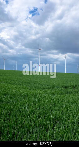 Windkraftanlagen in der Nähe von Bockenheim / Weinstraße, Rheinland-Pfalz, Deutschland Stockfoto