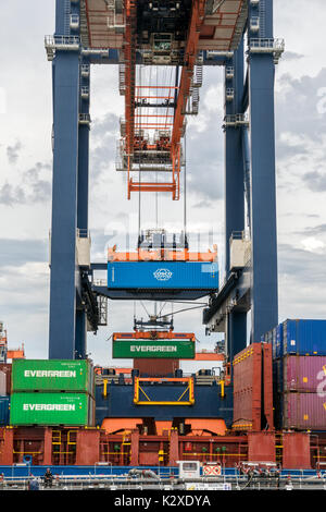 ROTTERDAM - 23.August 2017: Containerschiff mit einer Sea Container durch gantry Euromax Terminal im Hafen von Rotterdam geladen wird. Stockfoto
