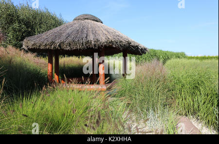 Kleines Holzhaus mit Strohdach in der Mitte der reinen Natur platziert. Stockfoto