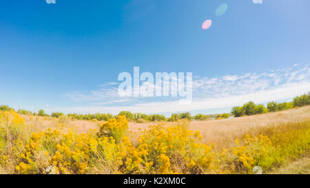 Fahrt durch Cherry Creek State Park im frühen Herbst. Stockfoto