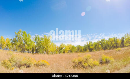 Fahrt durch Cherry Creek State Park im frühen Herbst. Stockfoto