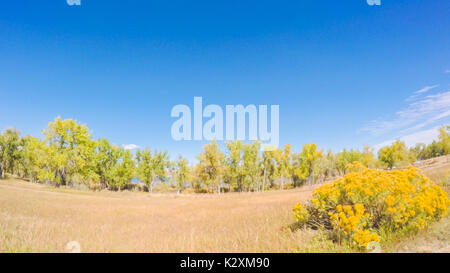 Fahrt durch Cherry Creek State Park im frühen Herbst. Stockfoto