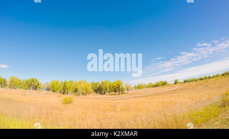 Fahrt durch Cherry Creek State Park im frühen Herbst. Stockfoto