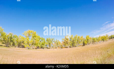 Fahrt durch Cherry Creek State Park im frühen Herbst. Stockfoto