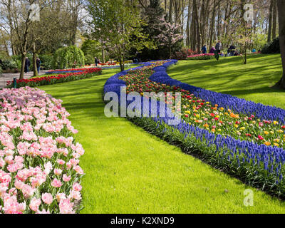 Grüne Rasen und der Massen der Farbe im Keukenhof Gärten im Frühling Stockfoto