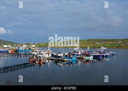 Portmagee, County Kerry, Irland Stockfoto