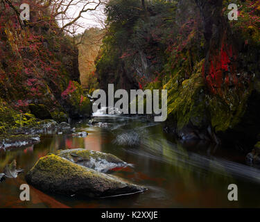 Fairy Glen im Norden von Wales. Stockfoto