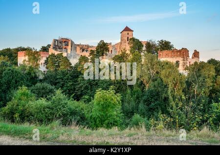 Schönen historischen Burgruine auf einem grünen Hügel. Ruinen der Burg Tenczyn in Rudno, Polen. Stockfoto