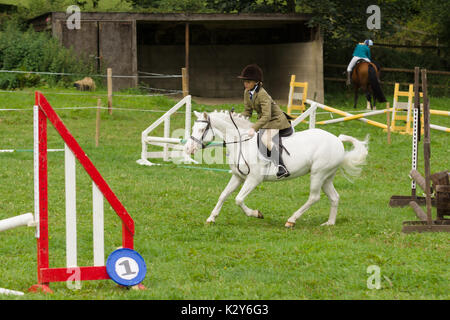 Junge Reiter und ihr Pony konkurrieren in der Show bei der jährlichen Ceiriog Tals Schaf Hund Studien springen in Glyn Ceiriog North Wales Stockfoto