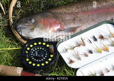 Fliegenfischen obere Chalke Fluss Stockfoto